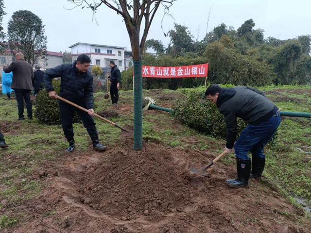 泸州市2022年完成义务植树30万株(图4)