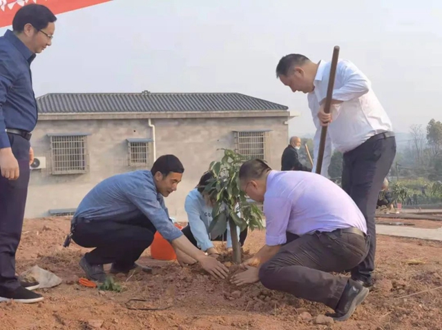 泸州市2022年完成义务植树30万株(图5)