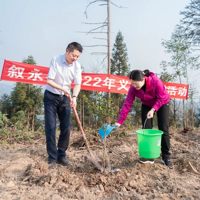泸州市2022年完成义务植树30万株(图6)