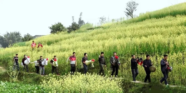 藏不住了！泸县这条茶马古道，尽显历史风韵！(图8)