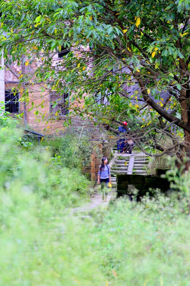 藏不住了！泸县这条茶马古道，尽显历史风韵！(图9)