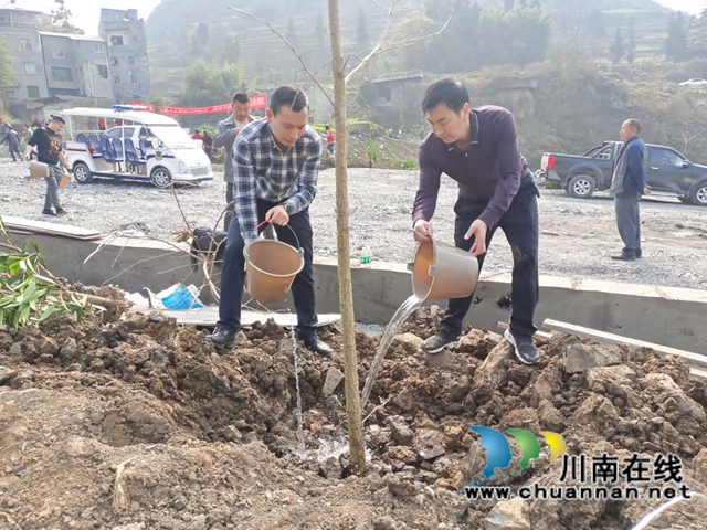 古蔺县观文镇:种下一棵小树,撒播一片希望(图4) 古蔺县观文镇:种下一棵小树,撒播一片希望(图4)