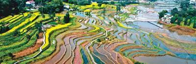 《人民日报》头版关注泸州纳溪春耕生产(图1)