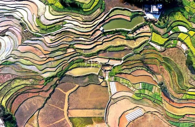 《人民日报》头版关注泸州纳溪春耕生产(图3)