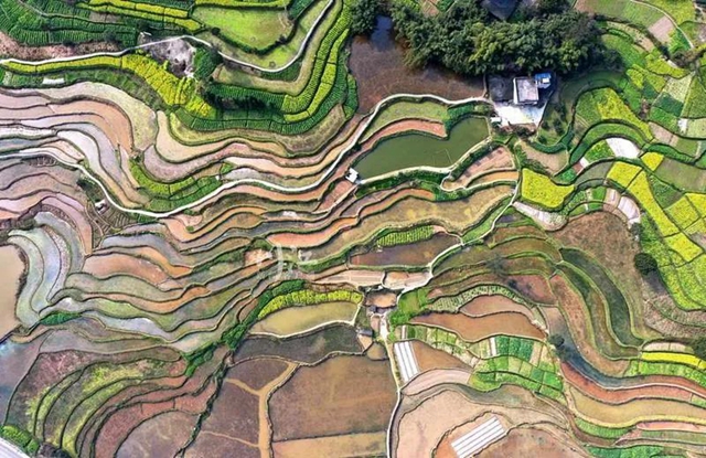 《人民日报》头版关注泸州纳溪春耕生产(图8)