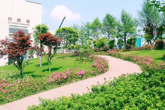 岗位多！合江县中医医院自主招聘28人(图3)