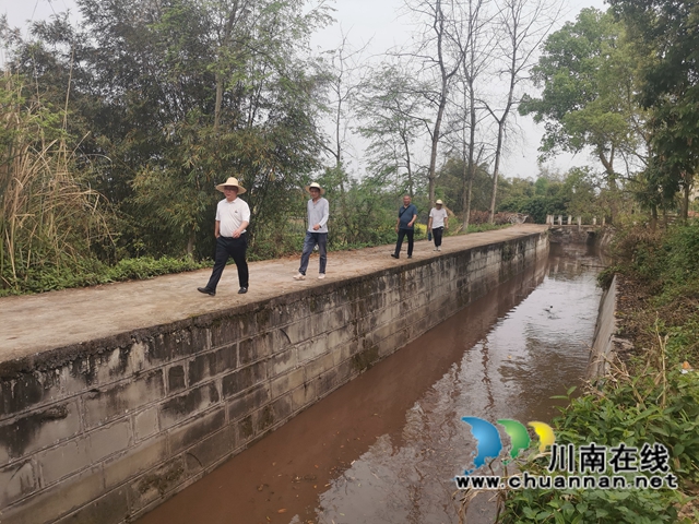 泸县三溪口水库开闸放水  满足6.5万稻田春耕所需(图5)