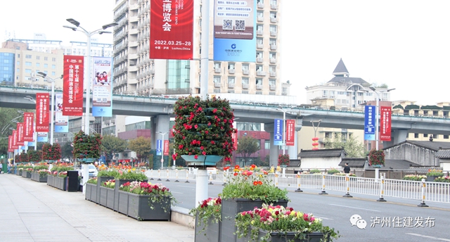 “花”点时间，看泸州“街花”图鉴(图30)