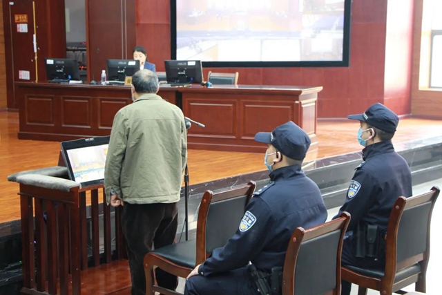 泸州：村民非法砍伐野生香樟，获刑一年六个月！