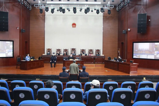 泸州：村民非法砍伐野生香樟，获刑一年六个月！(图4)