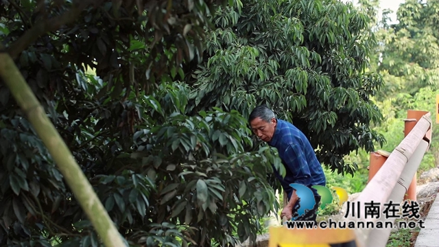 惠及10万人，合江赤水河环线旅游公路力争9月全线投用(图7)