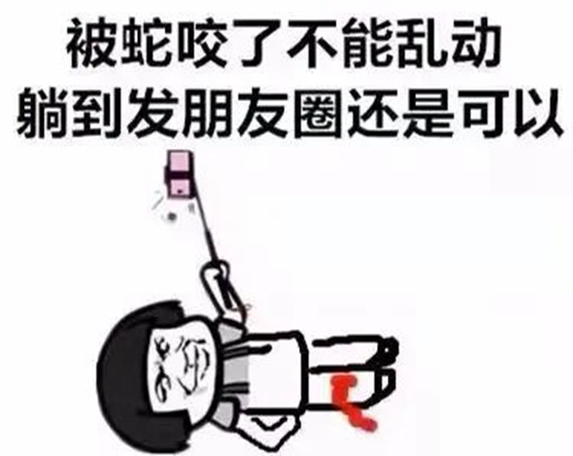 毒蛇提前“出关”，泸州两人被咬(图9)