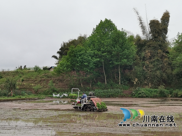 “鸡窝地”变“机跑地”　泸县丘陵田块宜机化改造节本增效(图1)