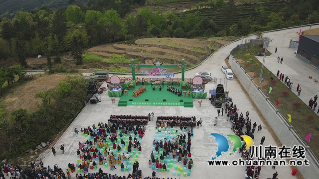 古蔺：一叶飘香四海春，万亩茶山迎客来(图5)