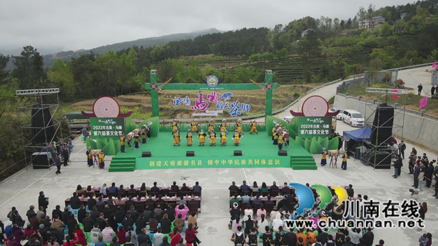 古蔺：一叶飘香四海春，万亩茶山迎客来(图6)