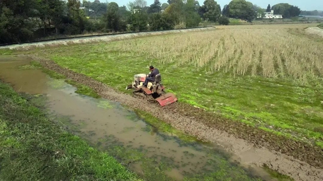打个电话就来水,合江这个地方提灌好方便!(图6) 打个电话就来水,合江这个地方提灌好方便!(图6)