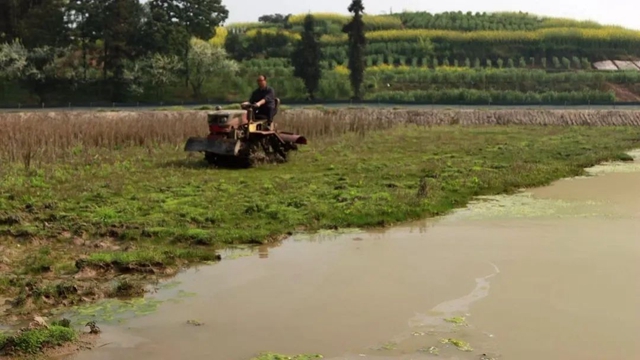 打个电话就来水,合江这个地方提灌好方便!(图5) 打个电话就来水,合江这个地方提灌好方便!(图5)