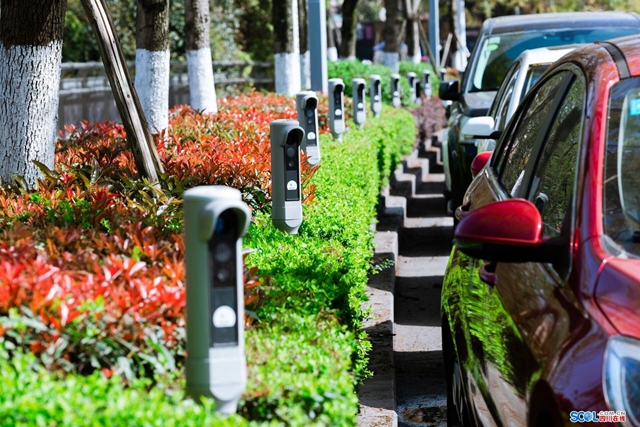 泸州：智慧停车体系让停车更智慧