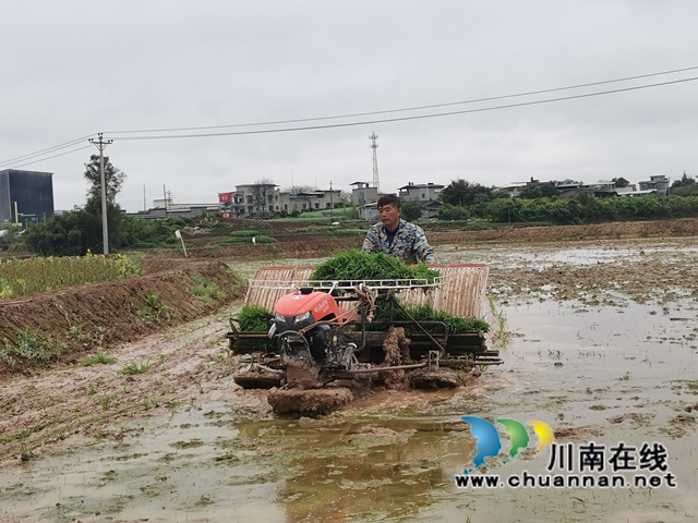 做好“农机”文章 泸县全县机插秧达30万亩(图2) 做好“农机”文章 泸县全县机插秧达30万亩(图2)