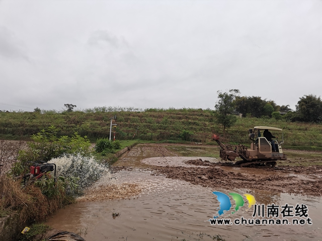 做好“农机”文章 泸县全县机插秧达30万亩(图6) 做好“农机”文章 泸县全县机插秧达30万亩(图6)