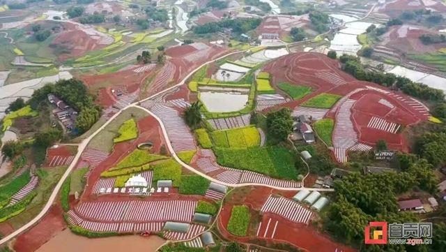 太亮眼！自贡同一地方数次登上央视！(图1)