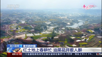 太亮眼！自贡同一地方数次登上央视！(图2)