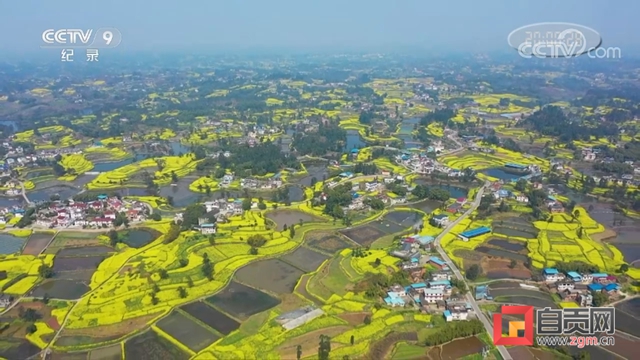 太亮眼！自贡同一地方数次登上央视！(图7)