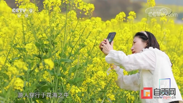 太亮眼！自贡同一地方数次登上央视！(图8)