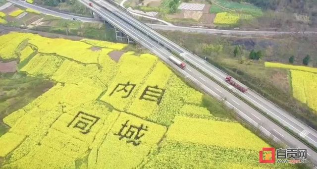 川南(内自)新区要来了?具体怎么建?官方规划——(图1) nEO_IMG_1.jpg