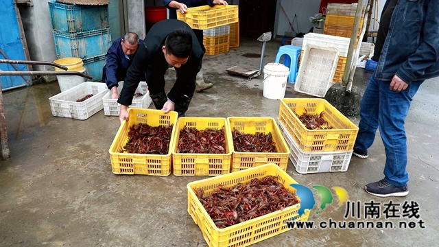 合江县白米镇:凝聚乡贤力量,探索致富之路(图2) 合江县白米镇:凝聚乡贤力量,探索致富之路(图2)