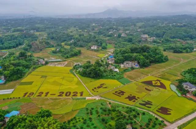 创建天府旅游名县丨万象“耕”新，总要来一趟合江白米吧！(图9)