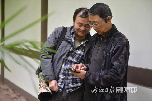 惊！它竟然也来内江了(图8)