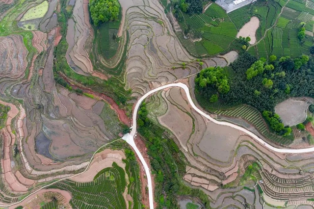 叙永丹山:万亩梯田美如画(图4) 叙永丹山:万亩梯田美如画(图4)