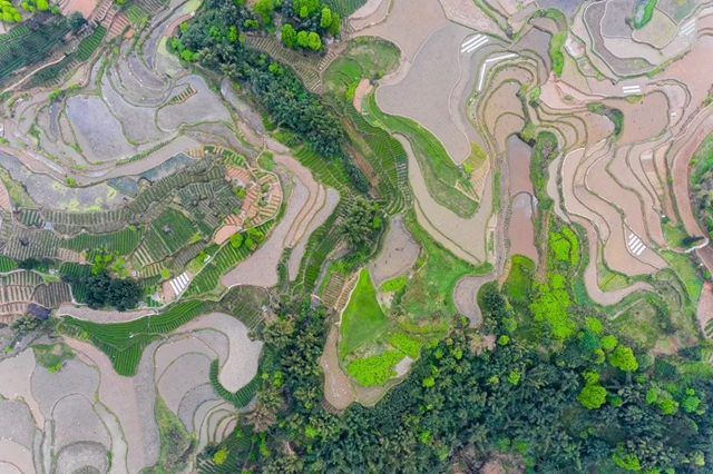 叙永丹山:万亩梯田美如画(图3) 叙永丹山:万亩梯田美如画(图3)