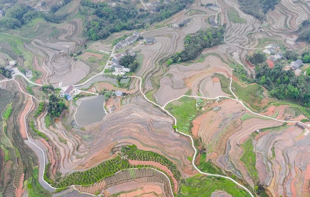 叙永丹山:万亩梯田美如画(图6) 叙永丹山:万亩梯田美如画(图6)