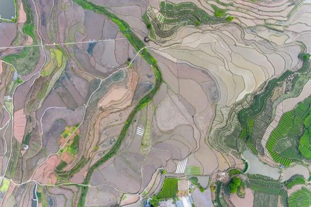 叙永丹山:万亩梯田美如画(图8) 叙永丹山:万亩梯田美如画(图8)