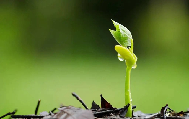 【人物】中医，让他两次复活……(图2)