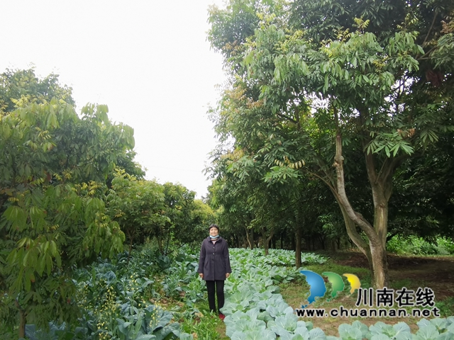 江阳区残联开展残疾人就业创业扶持项目实地验收(图2) 江阳区残联开展残疾人就业创业扶持项目实地验收(图2)