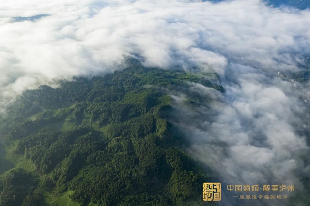 总投资6505亿！今年泸州计划实施重点项目311个(图3)