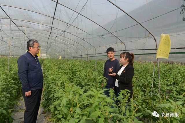 民富村美！荣县这个乡村振兴示范村打造川南地区蔬菜全产业链(图4)