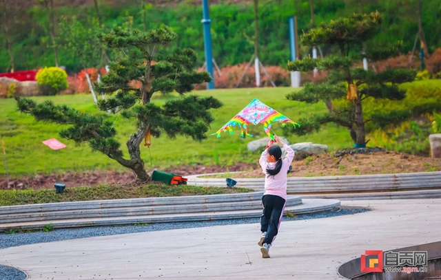 俯视宛如眼球！自贡这个绿地公园苍翠欲滴(图4)