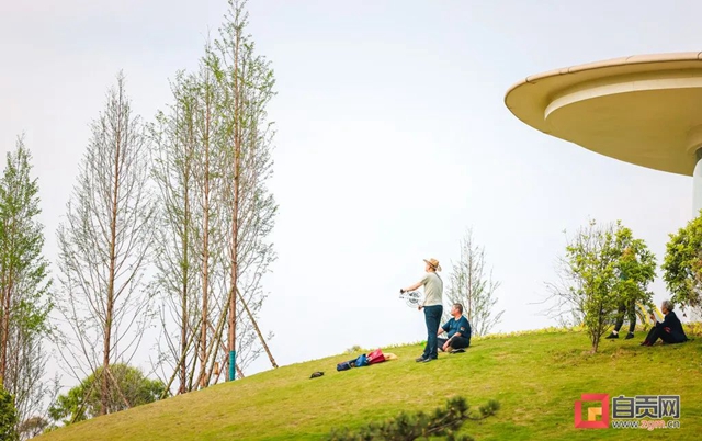 俯视宛如眼球！自贡这个绿地公园苍翠欲滴(图2)