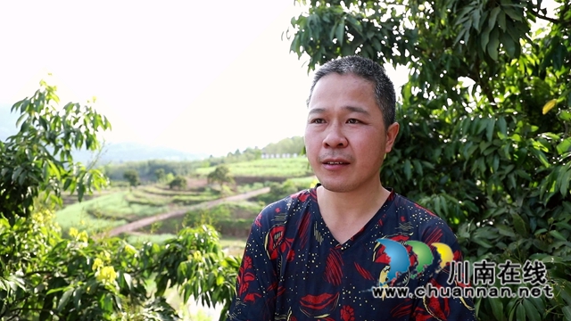 合江:油茶地里种大豆,春耕套种促增收(图4) 合江:油茶地里种大豆,春耕套种促增收(图4)