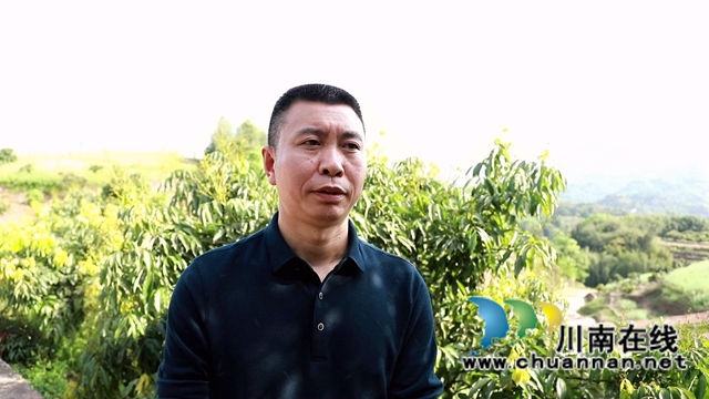 合江:油茶地里种大豆,春耕套种促增收(图5) 合江:油茶地里种大豆,春耕套种促增收(图5)