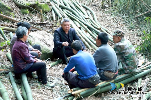 合江县榕山镇：乡贤会长心中那一抹绿(图2)