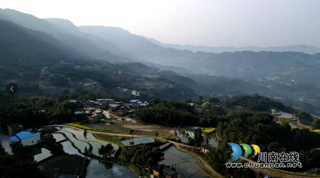 合江县榕山镇：乡贤会长心中那一抹绿(图3)