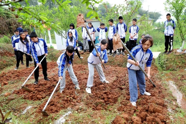 新华社、央视等纷纷关注泸州“双减”！为啥？(图6)