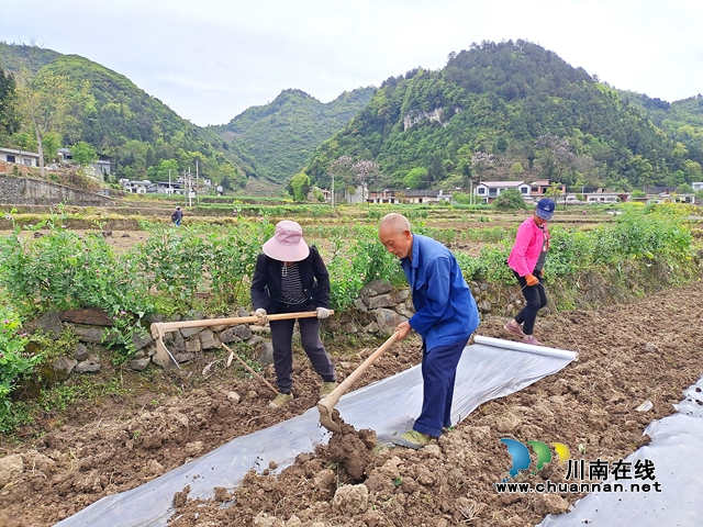 古蔺：春耕正当时，沃野添新绿！(图3)