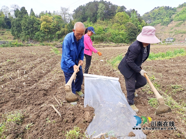 古蔺：春耕正当时，沃野添新绿！(图5)