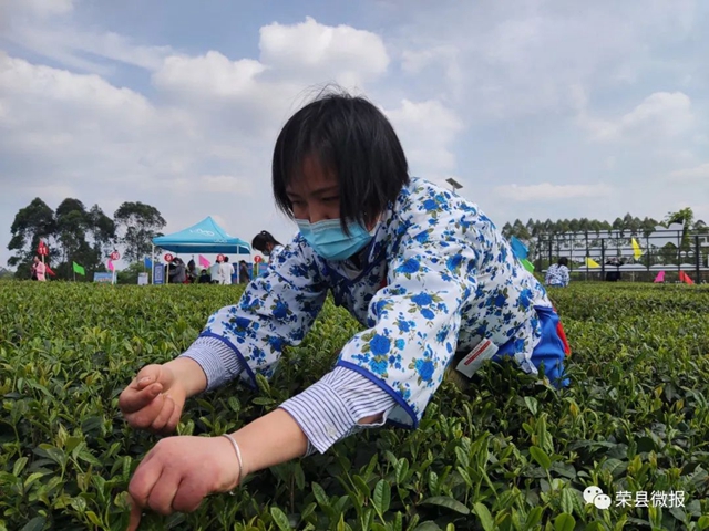 荣县14支队伍大比拼!一场指尖技艺的较量——(图4) 荣县14支队伍大比拼!一场指尖技艺的较量——(图4)